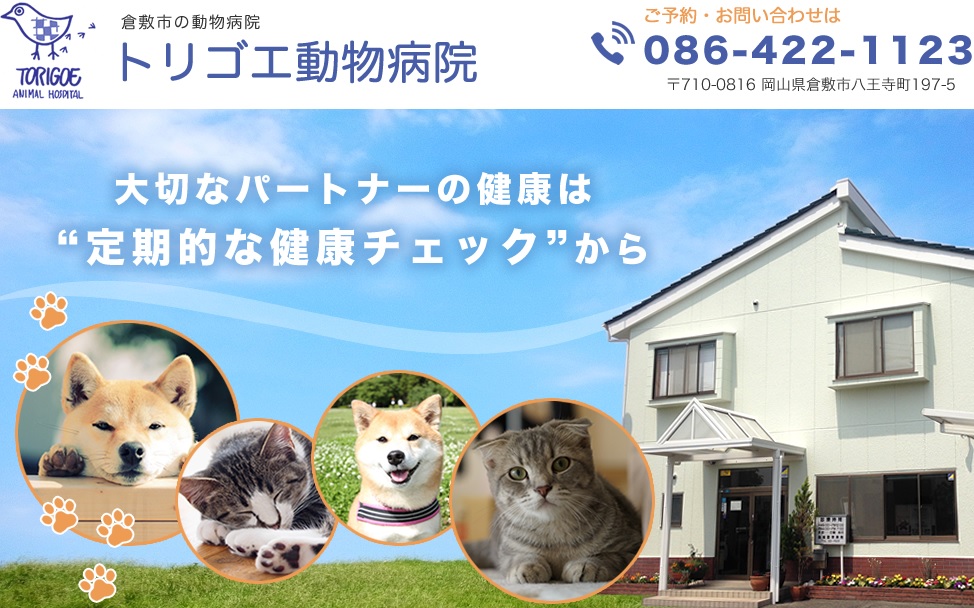 倉敷市の犬・猫の内科・外科・皮膚科等の治療ならトリゴエ動物病院